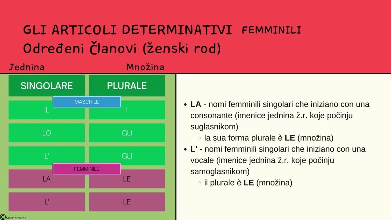 Treća lekcija italijanskog jezika za početnike - članovi - Terza lezione - Gli articoli